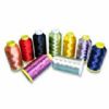 100%Polyester Embroidery Thread 120D/2 1000Y 